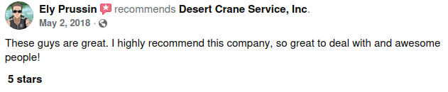 Customer review screenshot 2