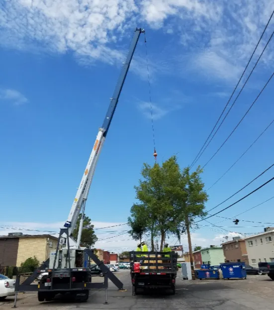 Landscaping lift